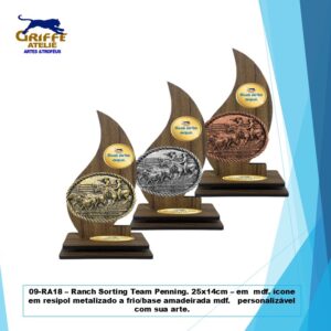 Ranch Sorting Team Penning.