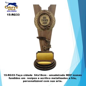 15-RG33-Taça cidade para Rodeio