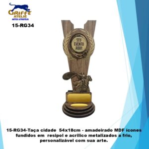 15-RG34-Taça cidade para Rodeio